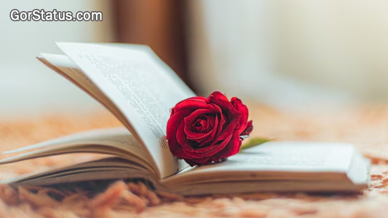 Banjara Shayari Status